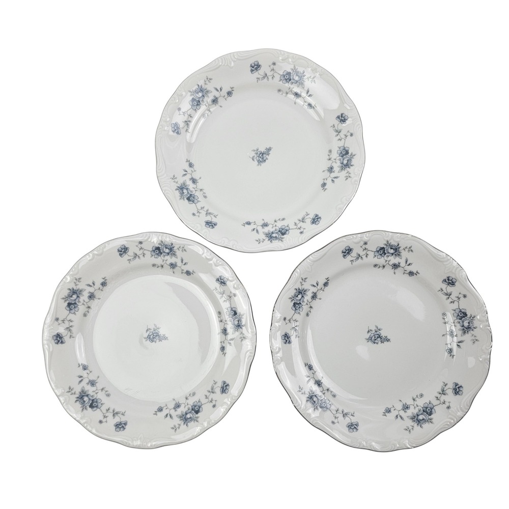 Johann Haviland Blue Garland Desert and Saucer Bavaria Germany Platinum Trim